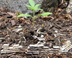 Wills Attic Hand cast silver soldiers in outside fort